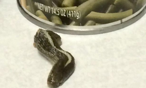 Nổi da gà khi phát hiện đầu rắn trong hộp đậu xanh